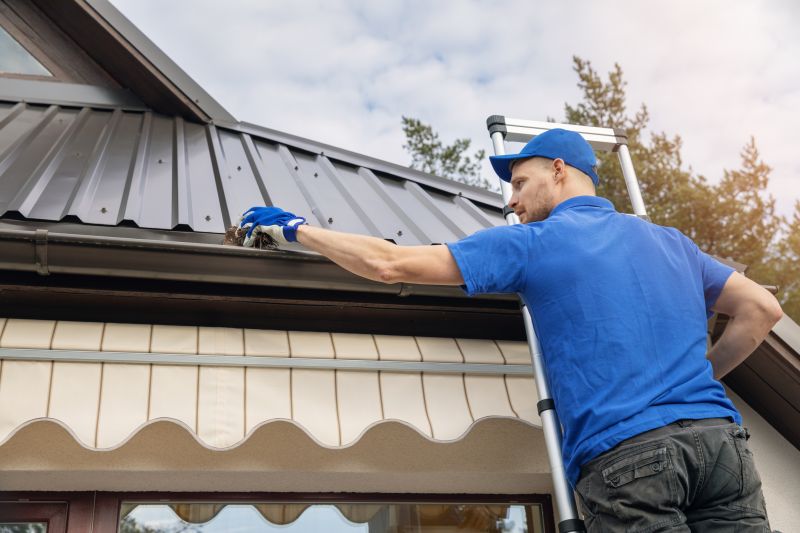 Spring Gutter Maintenance