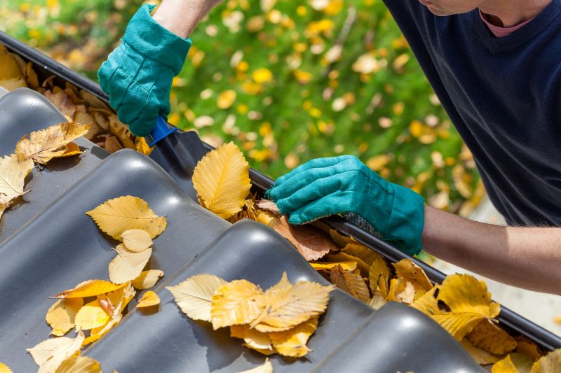 Gutter Service in Fall
